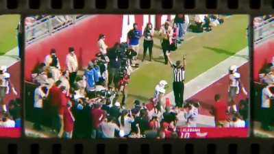 Tua to Waddle 🐬