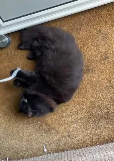 It’s just fluff!