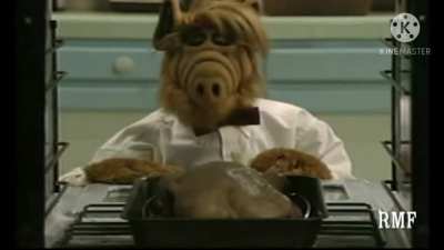 Alf cozinheiro