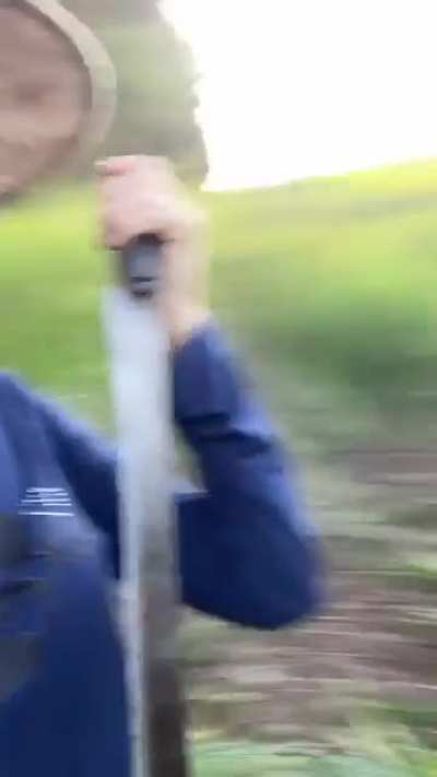 Talvez sulista n seja tão ruim assim