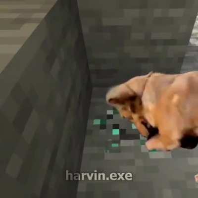 Sad ;-;
