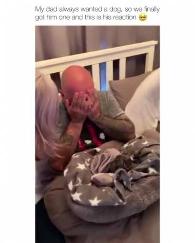 Dad gets a dog
