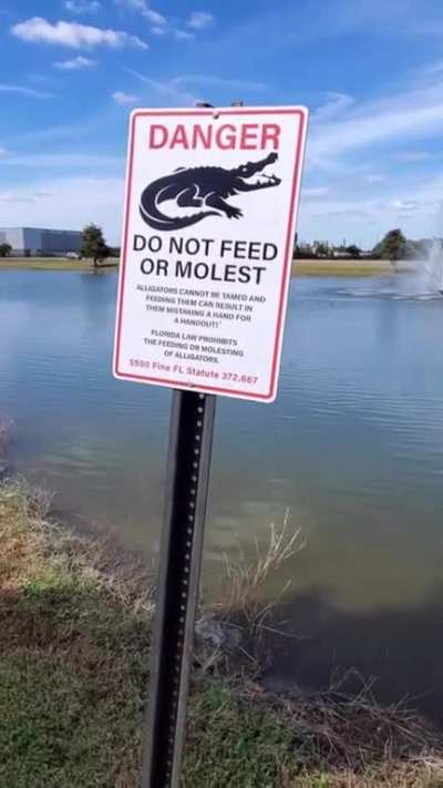 NOW WHICH ONE OF YOU DID THIS ? I WANT ANSWERS!!