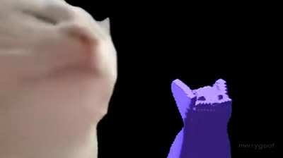 Lol