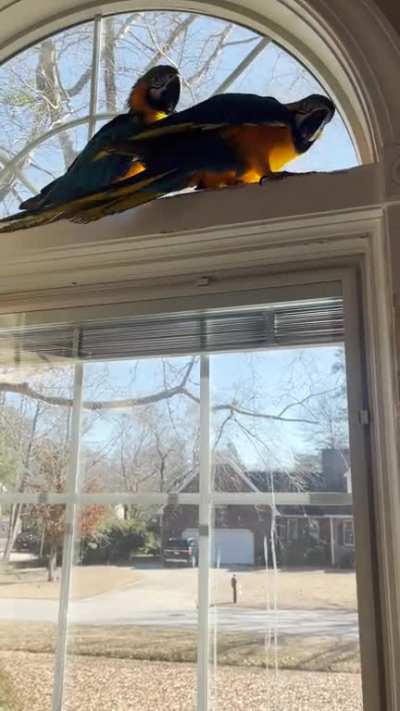 [OC] Trying to record a nice video.