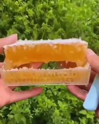 honey