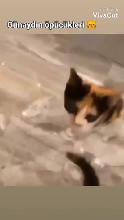 günaydın arkadaşlar