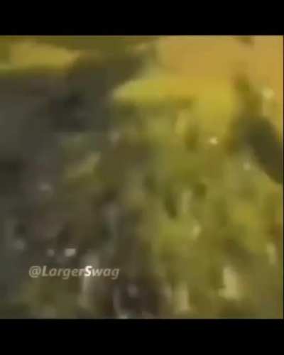 MoaiGreddit - Video #6115