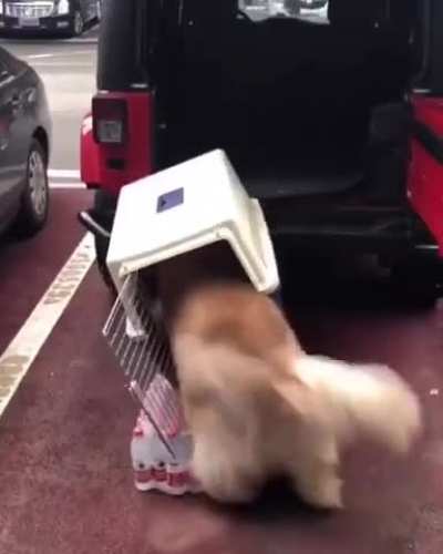 Help the poor guy don’t just stand there