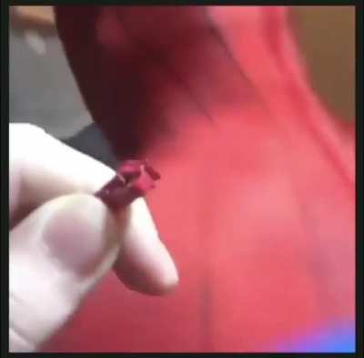 Forever spooderman