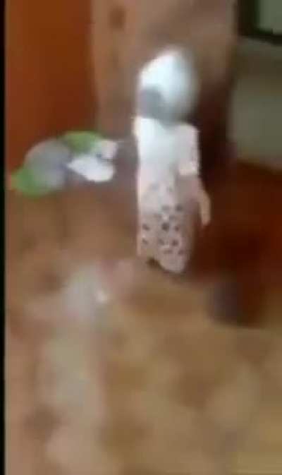 Pega a lapada