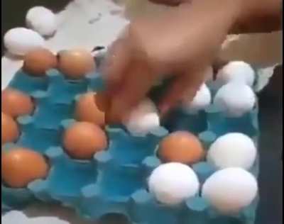 Chess 2 leaked footage!1!