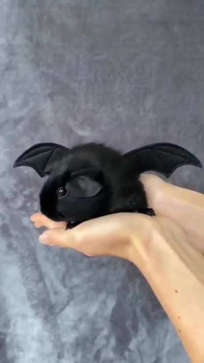 Spooky bat.