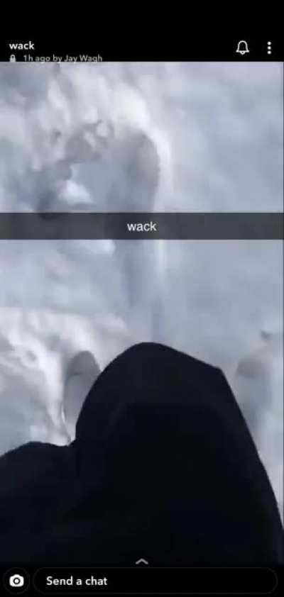 Antarctica