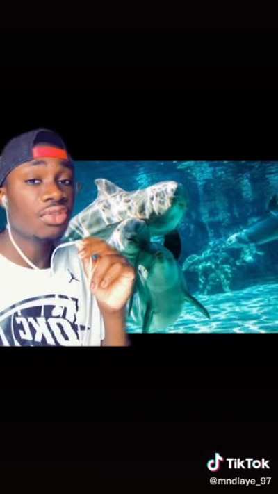 Even sharks are scared