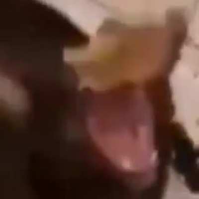 AAAAAAAAAA