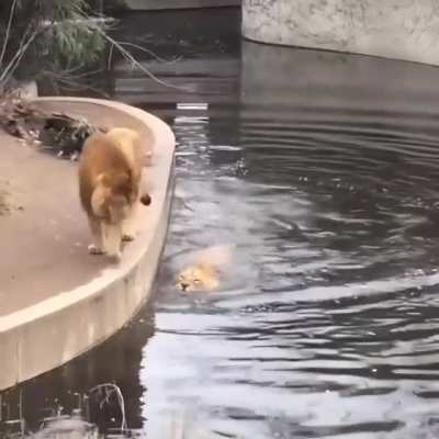 that's what happens when you don’t look under your feet