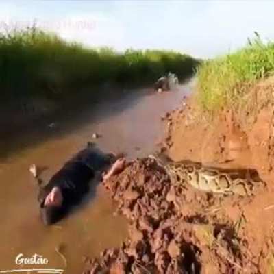 un dia normal en corrientes