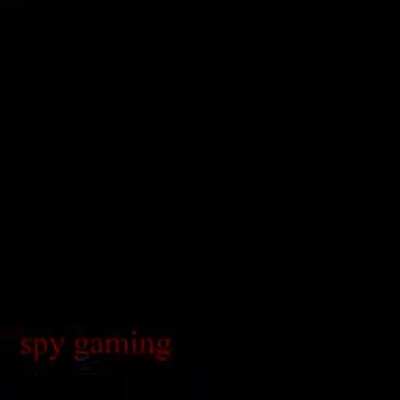 Spy Gaming