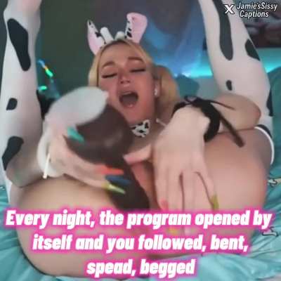 Where is the link?