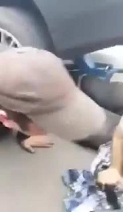 Como é que esse cara ainda trabalha de mecânico. Créditos:  