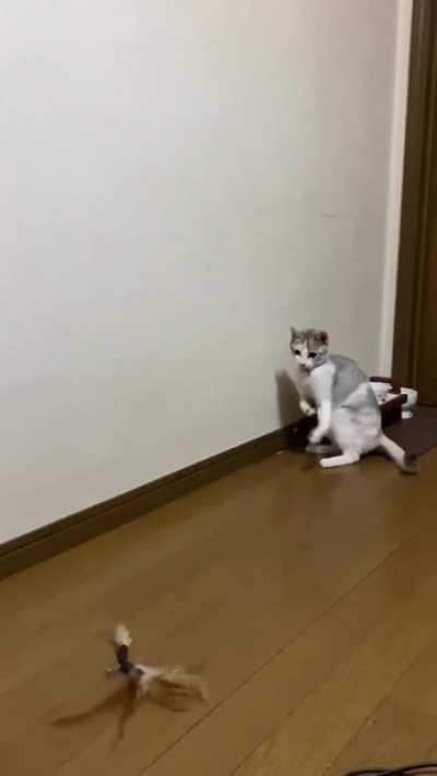 Котик едет на рыбал<wbr>ку...