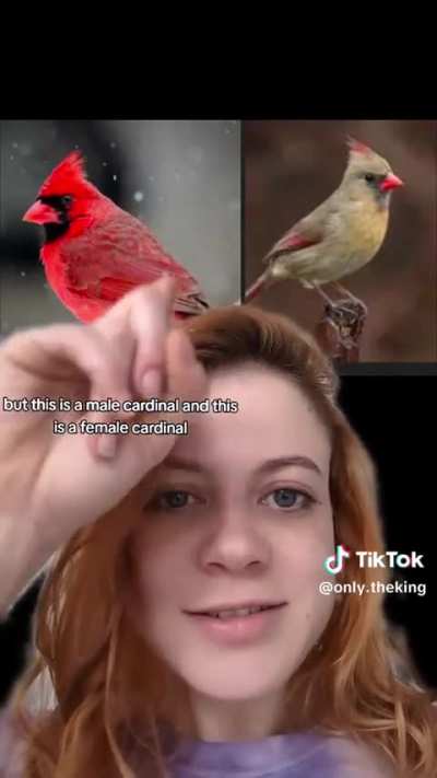 Tis the season
