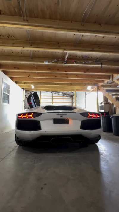 Aventador owners how long do you wait before starting the car after letting the fuel pump prime?