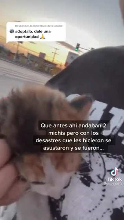 What a kind human