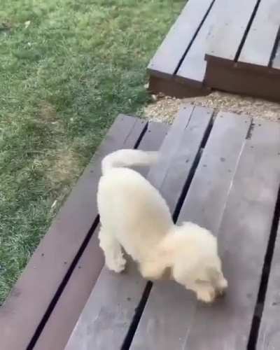 Happy girl , do you like her❤