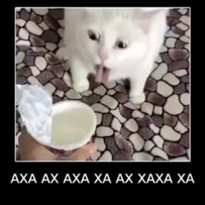 XAXAXA