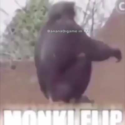 Si