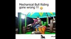 Two guys on a bull