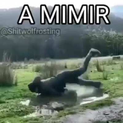 buenas noches