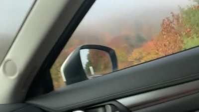 Car ride with MissLexa
