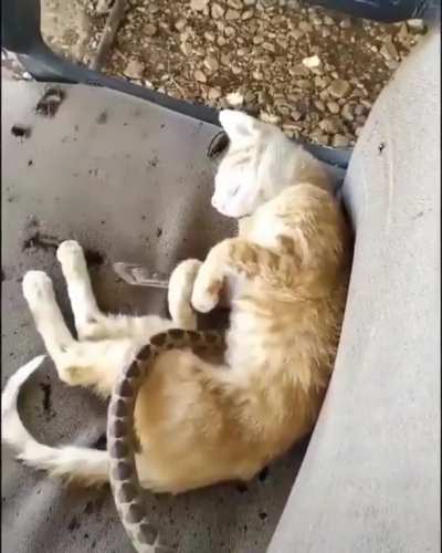 Cuddle time