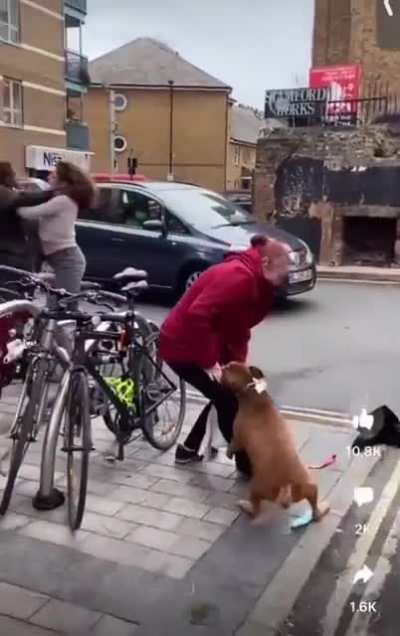 Woman walking a pitbull tries to stop a mugging. The pitbull attacks the woman being mugged, and then attacks its owner. The mugger gets away unharmed.