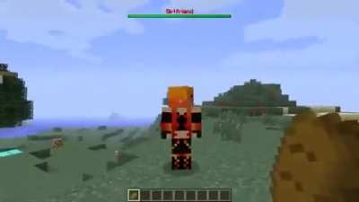 common dantdm W
