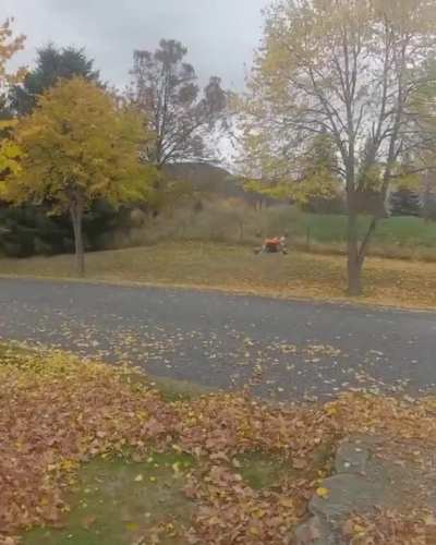 Drone go weee
