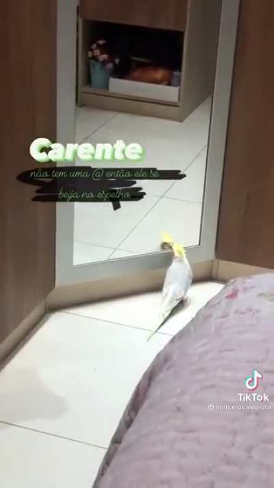 Conheça ele