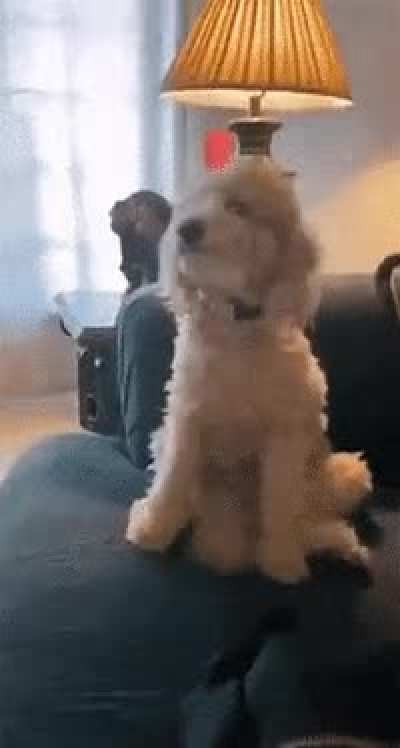 When you’re REALLY excited.