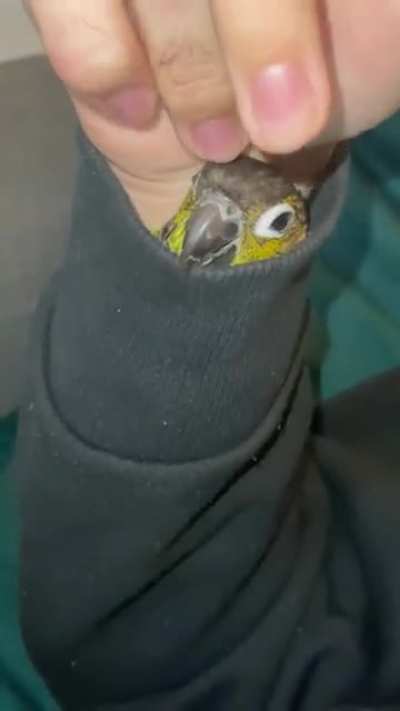 party confined to sleeve