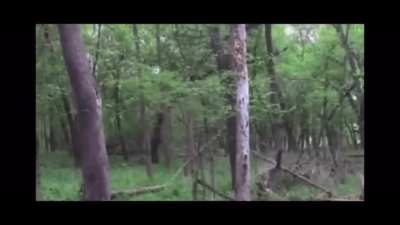 Clamworks wilderness