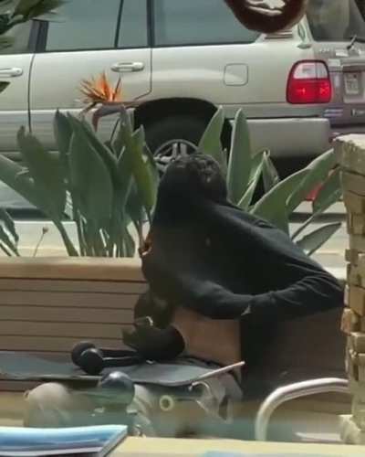 Smoking weed in public fail 😂