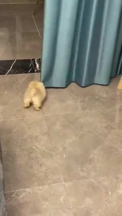 Tiny potato🥔
