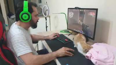 Winning a Deathmatch during a cat and mouse situation
