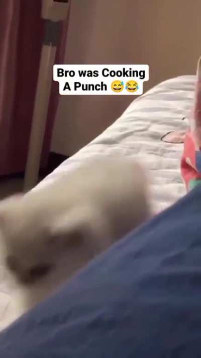 A powerful punch Launcher