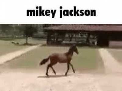Mikey