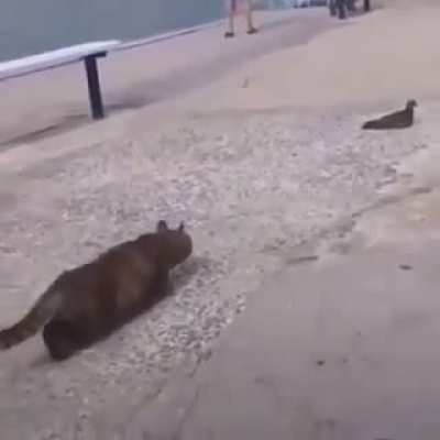 A rare video of me chasing my dreams