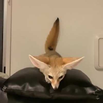 How